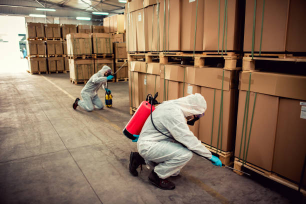 Best Best Pest Control Companies  in Pine, AZ