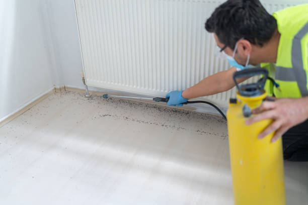Best Affordable Exterminators  in Pine, AZ